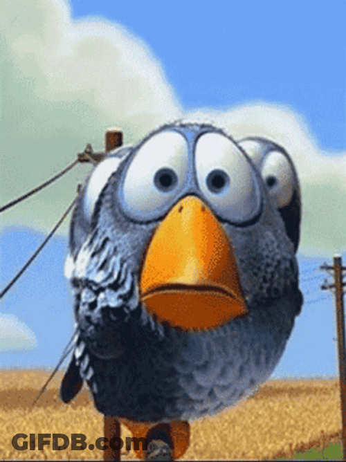 The Birds Pixar Curious GIF