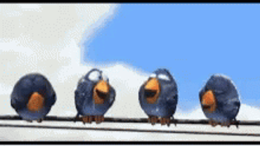 The Birds Pixar Laughing GIF