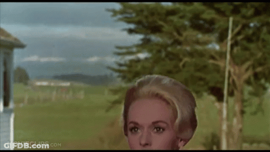 The Birds Tippi Hedren GIF