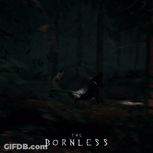 The Bornless Video Game Poster Dark Forest GIF