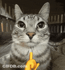 The Boys The Boys Butcher GIF