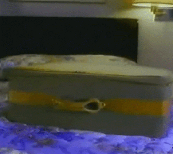 The Brain Gremlin 2 Stripe GIF