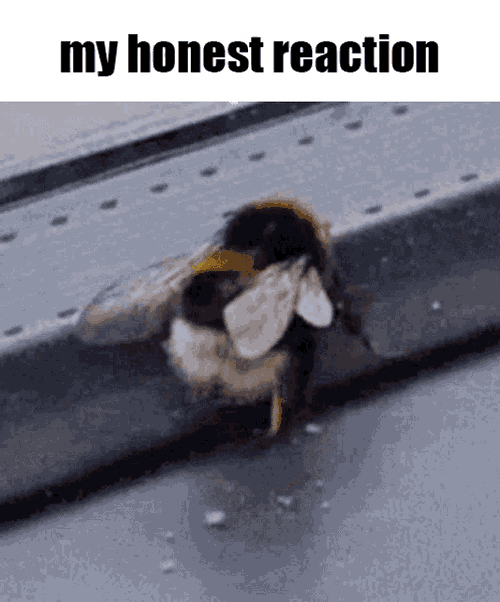 The Bug Shaker My Honest Reaction GIF