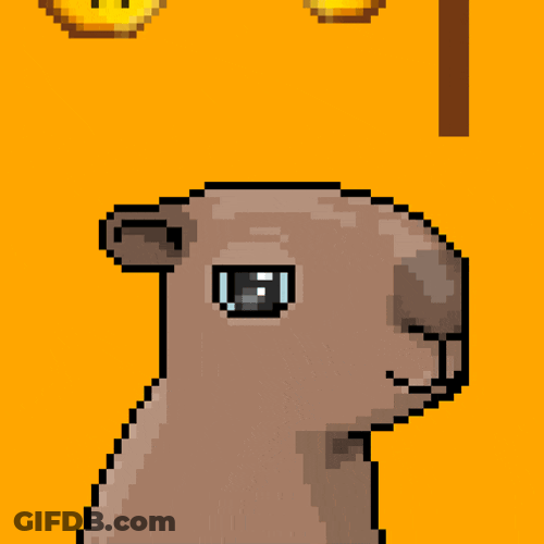 The Cappies Btc GIF