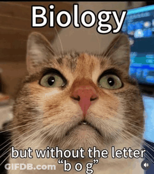 The Cat Biology GIF