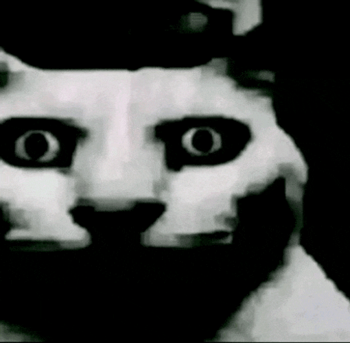 The Cat Is In Deep Shock Cat Stare Meme GIF