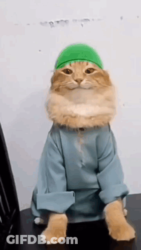 The Cat Is Wearing A Green Hat And A Blue Shirt . GIF