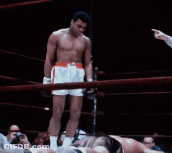 The Champ Is Here Boxer Win GIF