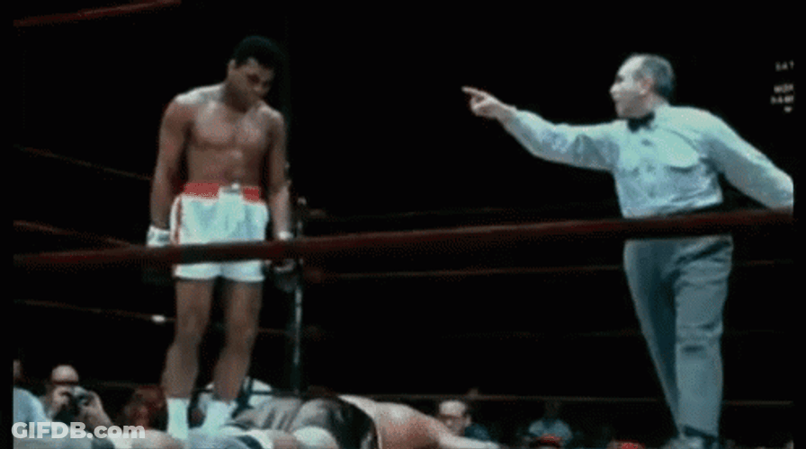 The Champ Is Here Muhammad Ali Knock Out GIF