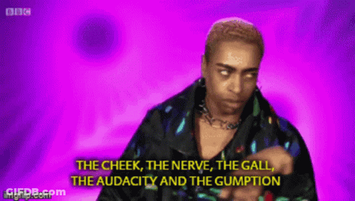 The Cheek The Nerve The Gumption GIF