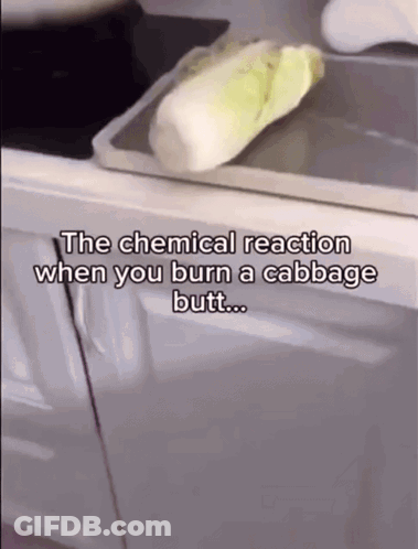 The Chemical Reaction When You Burn A Cabbage Butt Is Shown In A Video GIF