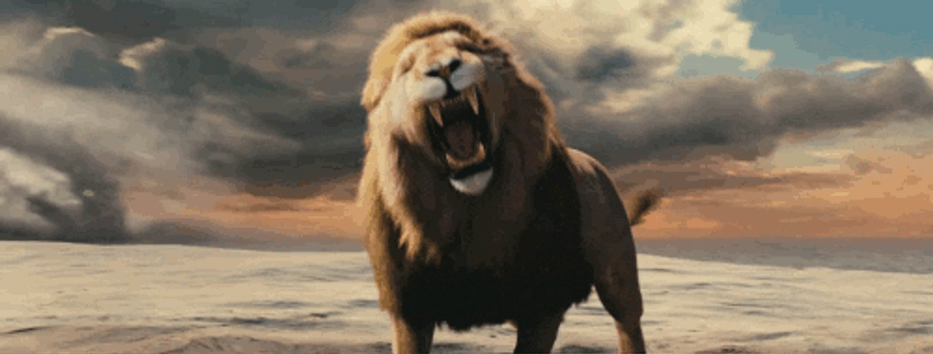 The Chronicles Of Narnia Angry Aslan GIF