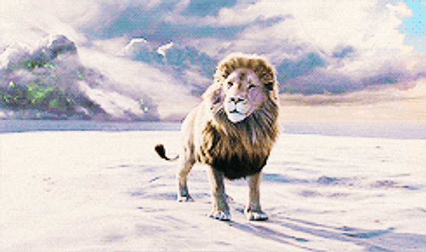 The Chronicles Of Narnia Aslan Stands At Snow GIF