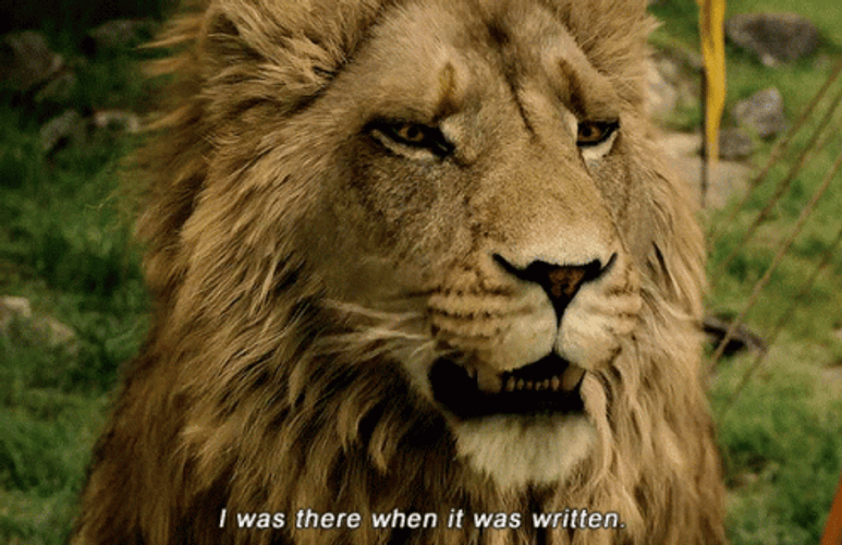 The Chronicles Of Narnia Aslan Talking GIF