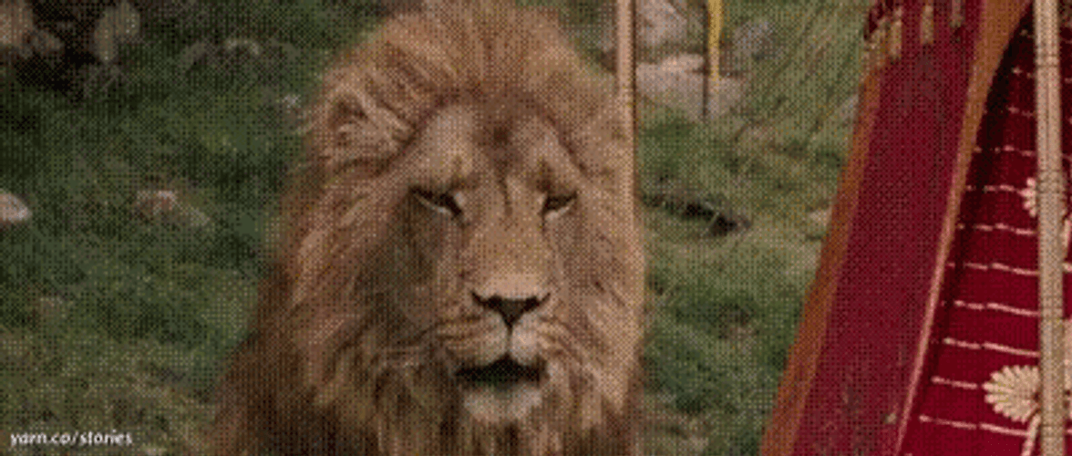 The Chronicles Of Narnia Aslan Talking To Jadis GIF