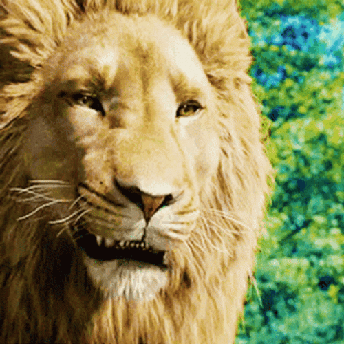 The Chronicles Of Narnia Aslan Wide Mouth GIF