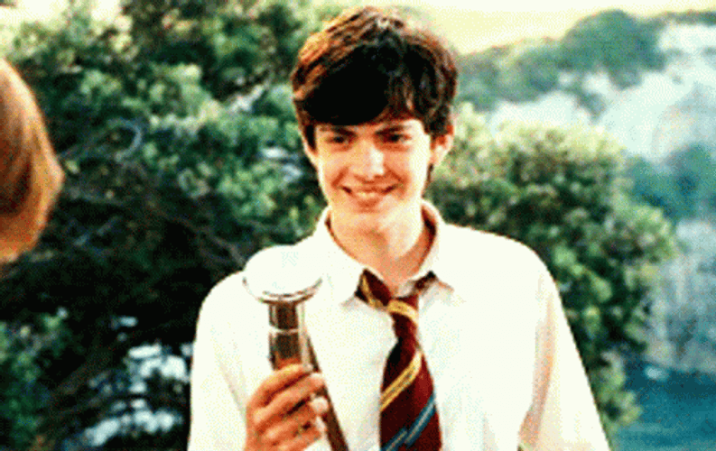 The Chronicles Of Narnia Edmund Pevensie Smiling GIF
