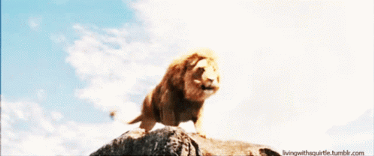 The Chronicles Of Narnia Fantasy Movie GIF