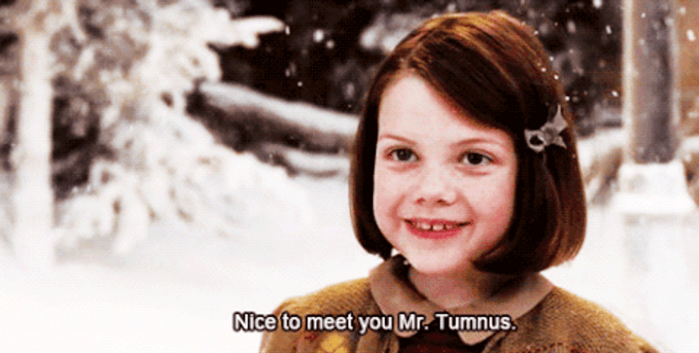 The Chronicles Of Narnia Lucy Meets Tumnus GIF