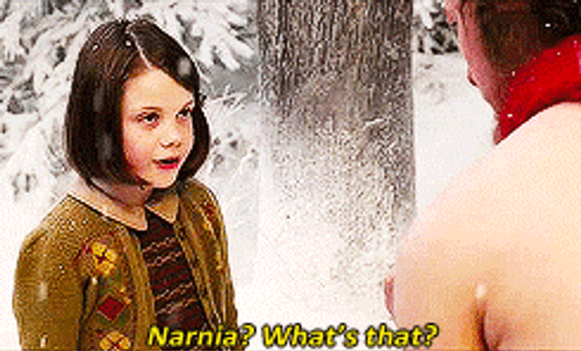 The Chronicles Of Narnia Lucy Pevensie Asking GIF