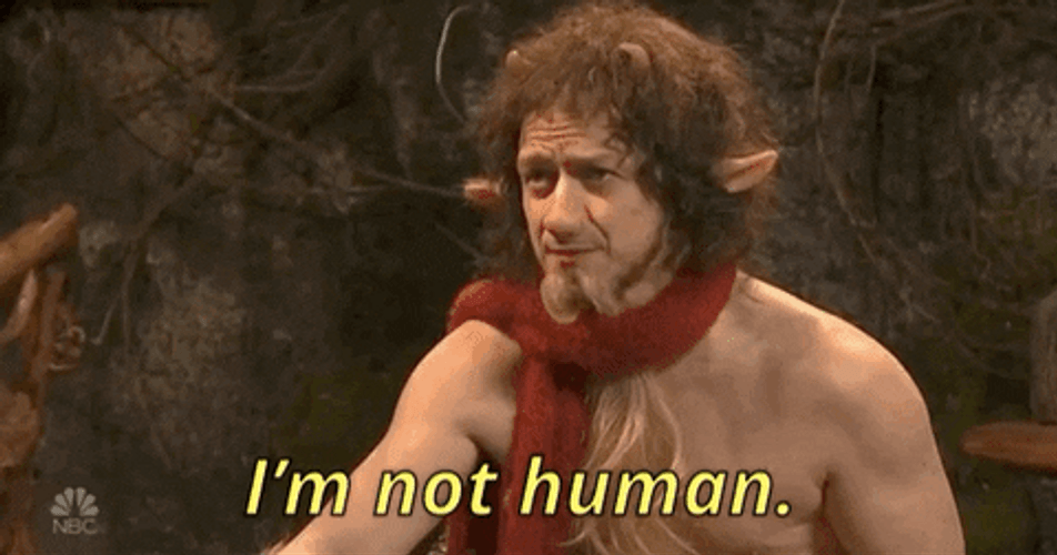 The Chronicles Of Narnia Mr. Tumnus Not Human GIF