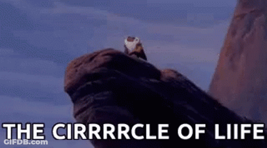 The Circle Of Life GIF