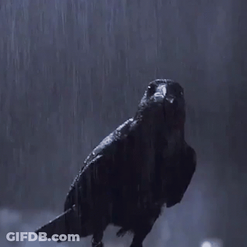 The Crow Eric Draven Chasing Bird GIF