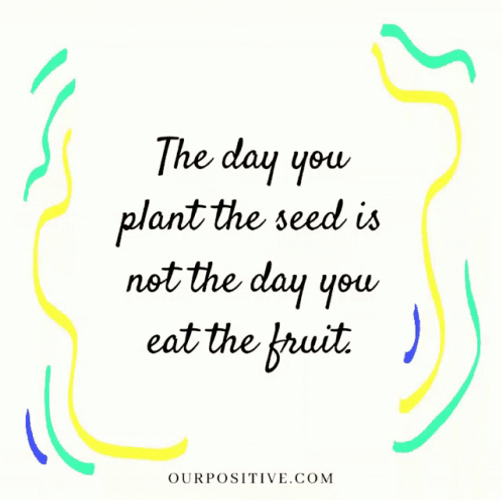 The Day You Plant The Seed Adage GIF