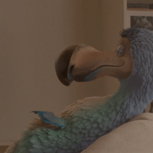 The Dodo Australia Woooow GIF