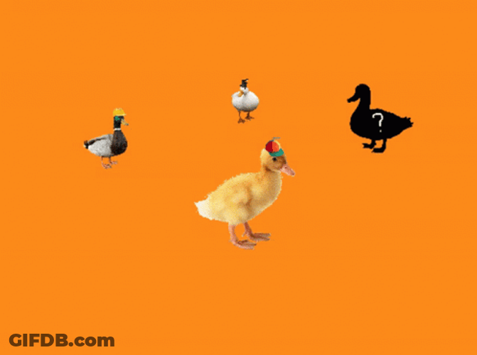 The Duck Spinning Around GIF