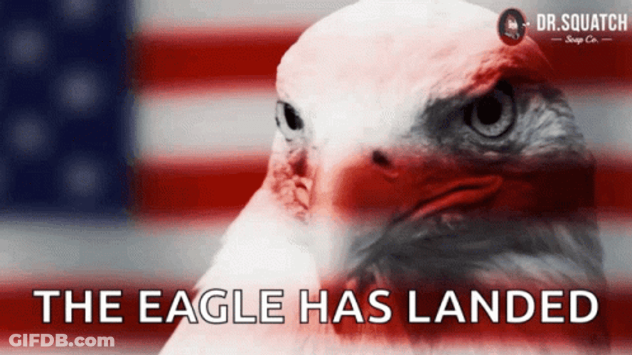 The Eagle Has Landed American Icon GIF