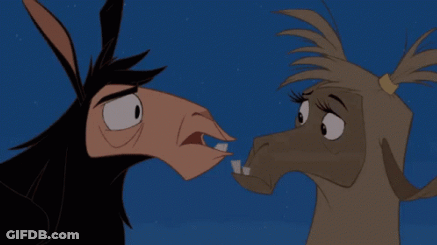 The Emperor's New Groove Llama Drama GIF