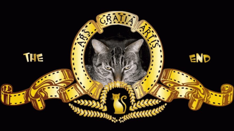 The End Gray Cat GIF