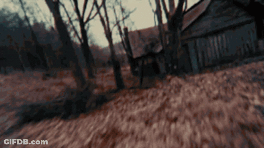 The Evil Dead Home GIF