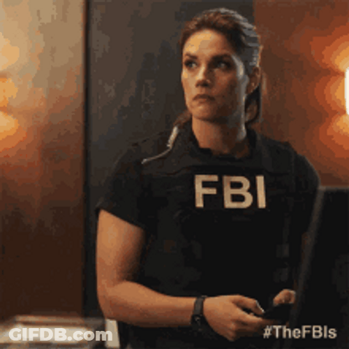 The Fbi Maggie Bell Missy Peregrym Hey Meme GIF