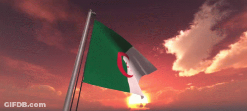 The Flag Of Algeria Is Flying In The Wind GIF