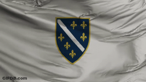 The Flag Of Bosnia And Herzegovina Has A Coat Of Arms With Fleur De Lis On It GIF