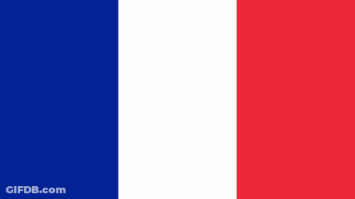 The Flag Of France Is Blue , White , And Red With A White Background . GIF