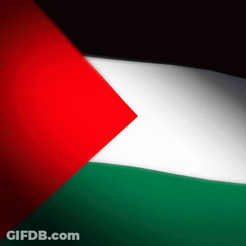 The Flag Of Palestine Has A Red White And Green Triangle In The Middle GIF