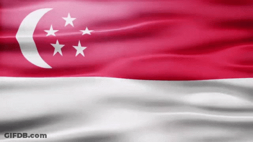 The Flag Of Singapore Has A Crescent Moon And Three Stars GIF