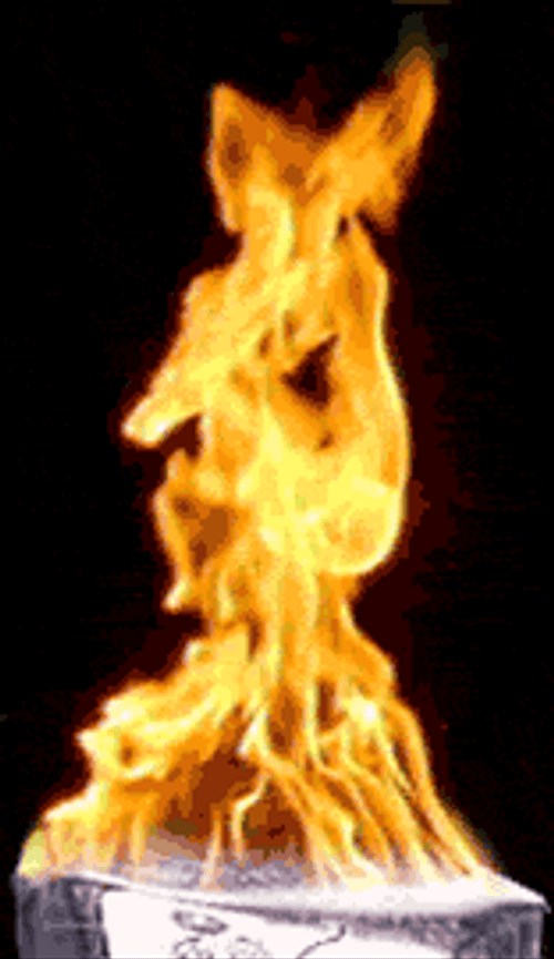 The Flames Are Still Burning Olympic Torch GIF