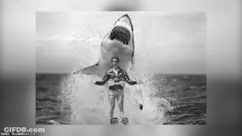 The Fonz Fonz GIF