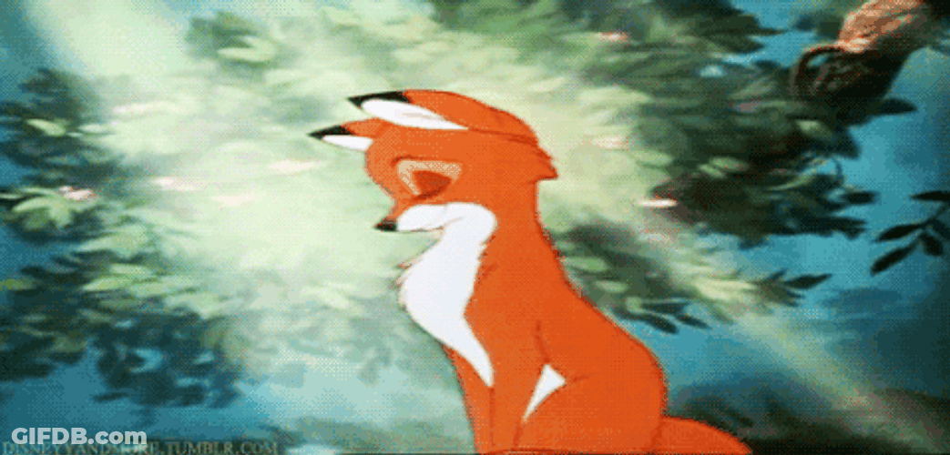 The Fox Batting Eyes GIF