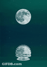 The Full Moon Is Reflected In The Water GIF