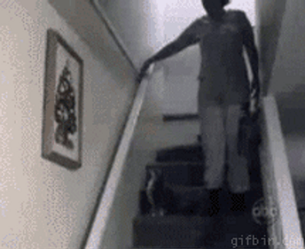 The Funny Cat Got Trap GIF