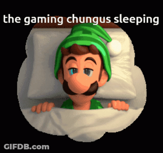 The Gaming Chungus Sleeping GIF