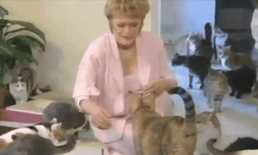 The Golden Girls Blanche Devereaux Cat Lady GIF