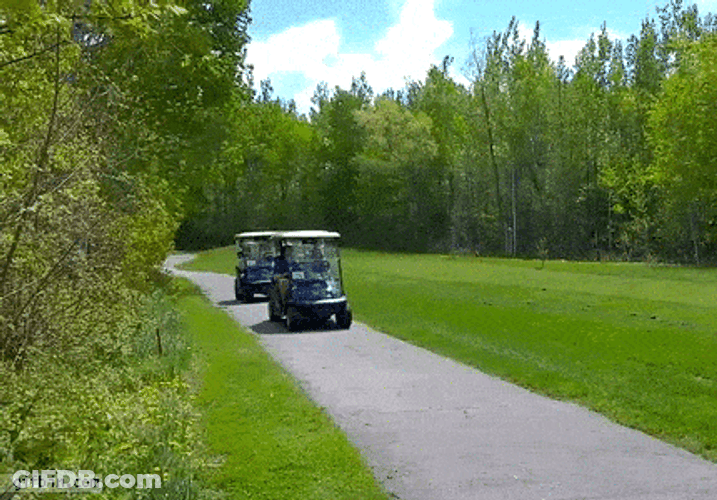 The Golf Cart In Front Crashed From Behind GIF