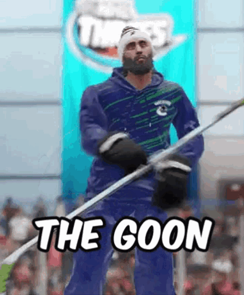 The Goon Nhl GIF