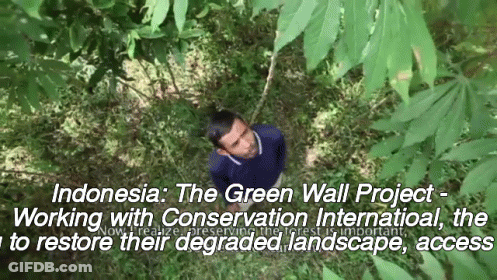 The Green Wall Project Is Working With Conservation International To Restore Their Degraded Landscape Access GIF